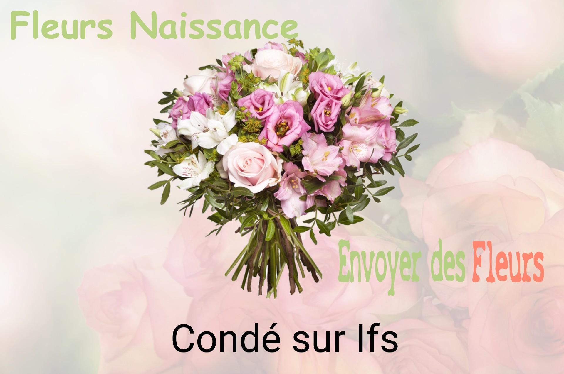 Bouquet de fleurs de naissance livré à Condé-sur-Ifs